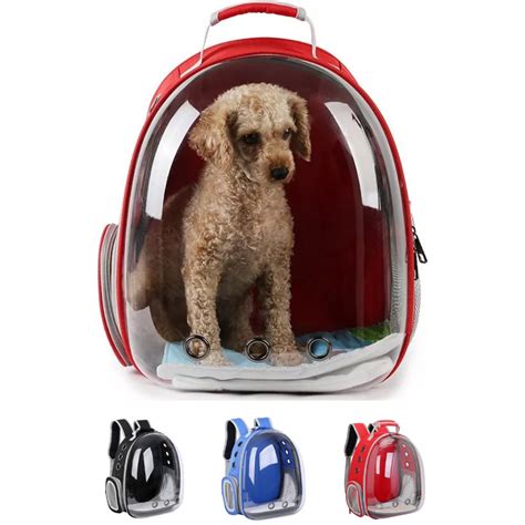 bolsa para carregar cachorro na moto